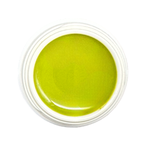 #580 Camouflage Green | Premium Farbgel